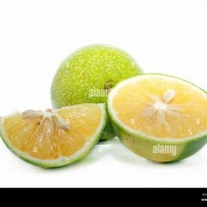Sweet Lime / Mosambi