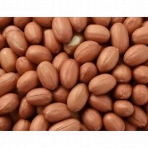 Bold Groundnuts / Peanuts