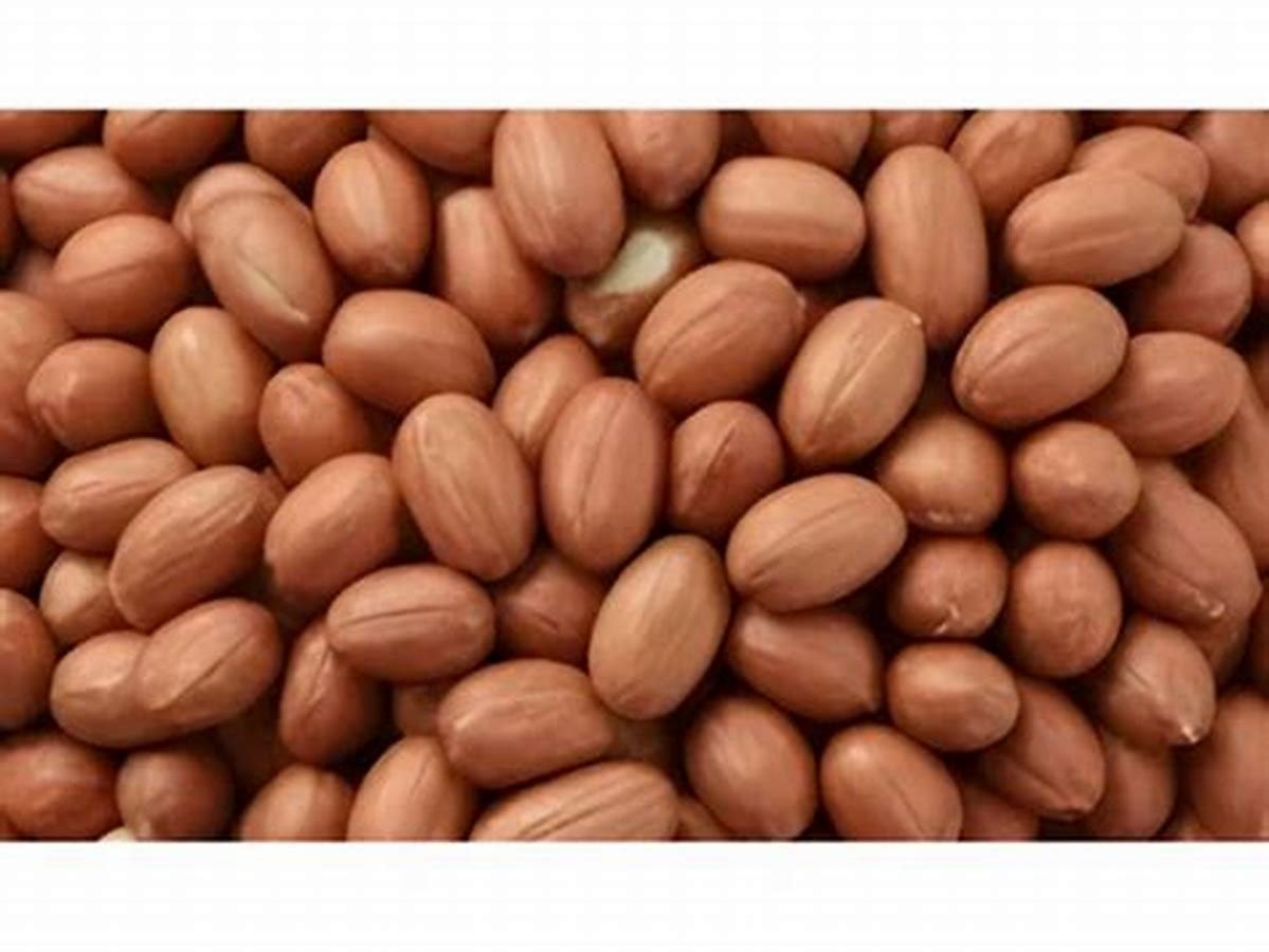Bold Groundnuts / Peanuts