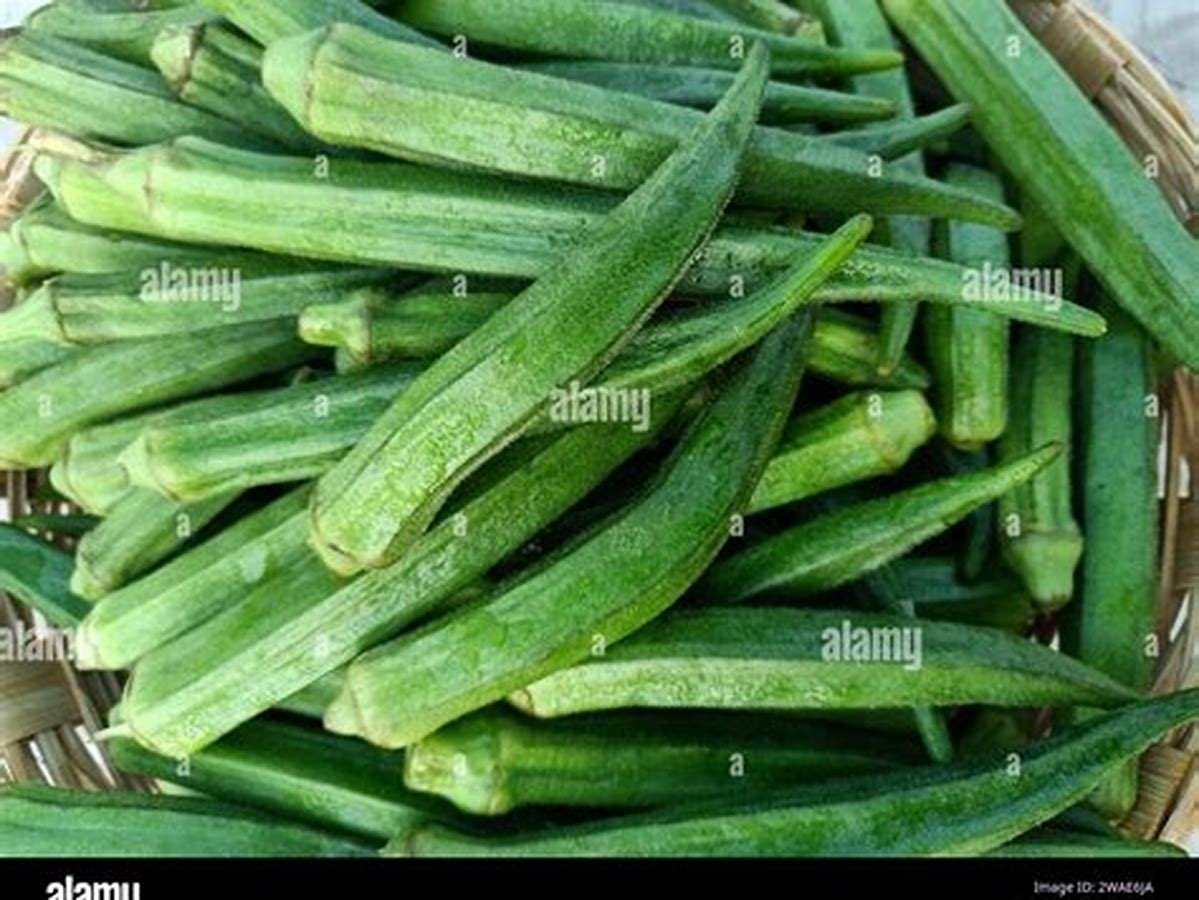 Fresh Indian Green Okra