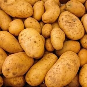 Fresh Potato