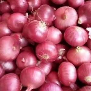 Nashik Red Onions